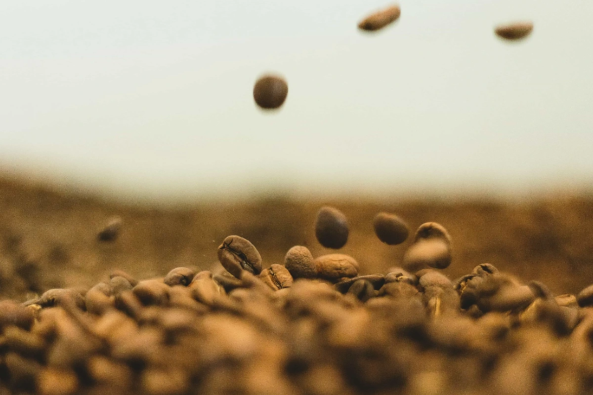 Voitkus Coffee roastery — palarnia