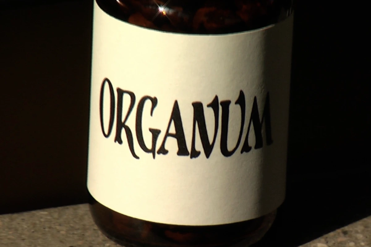 Organum Coffee — palarnia