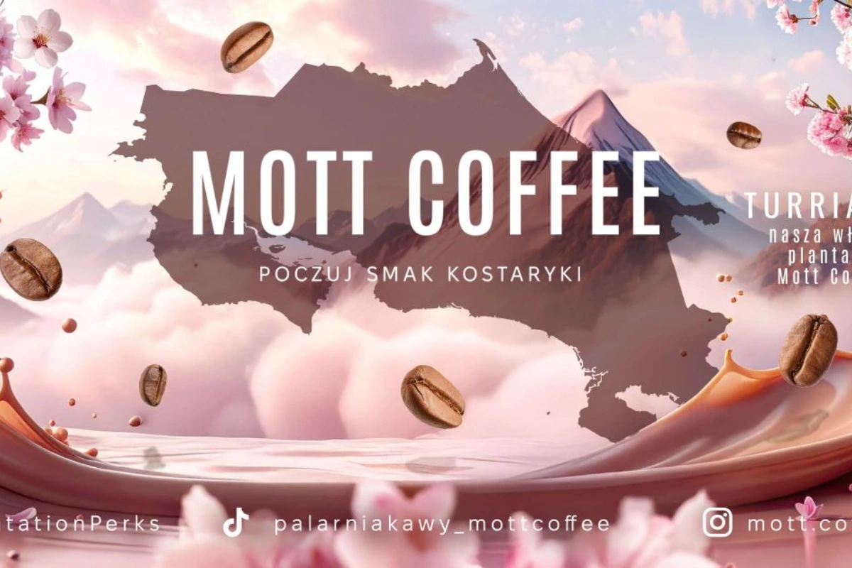 Mott Coffee — palarnia