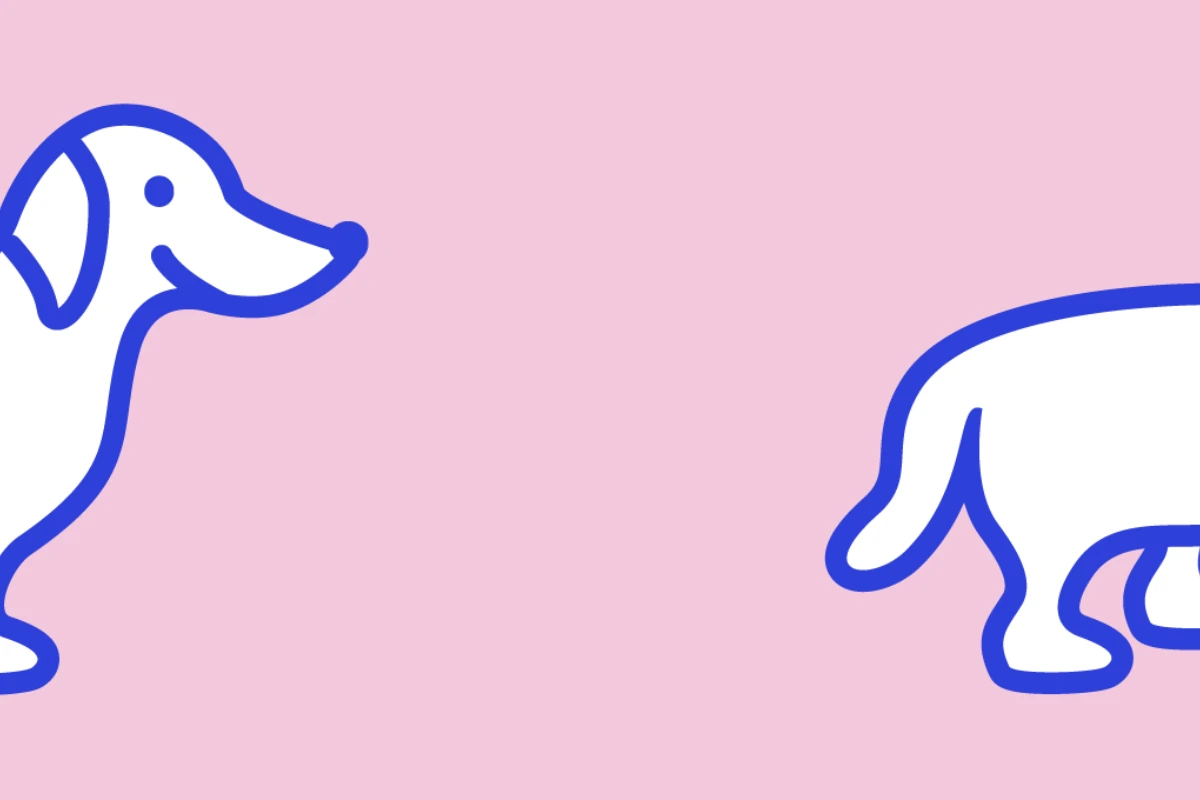 The Naughty Dog — Rösterei