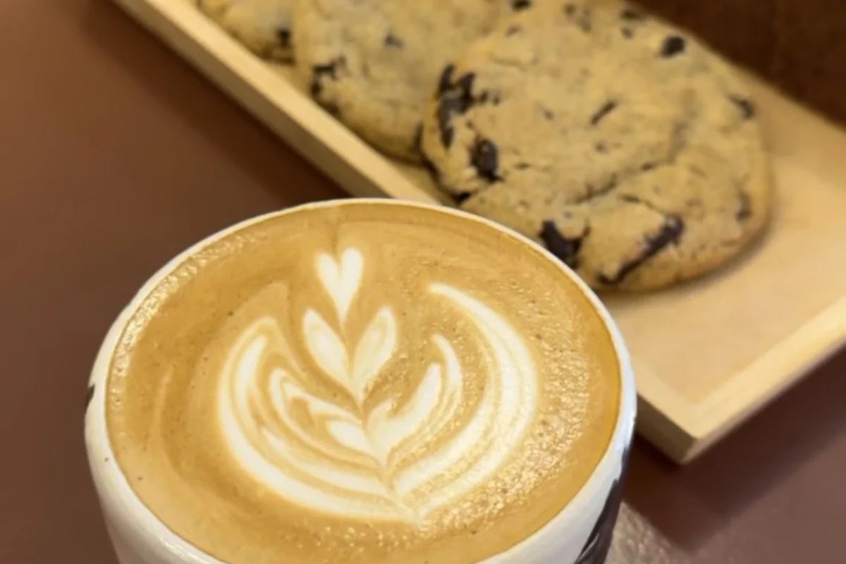 COFFEE RAIN — palarnia