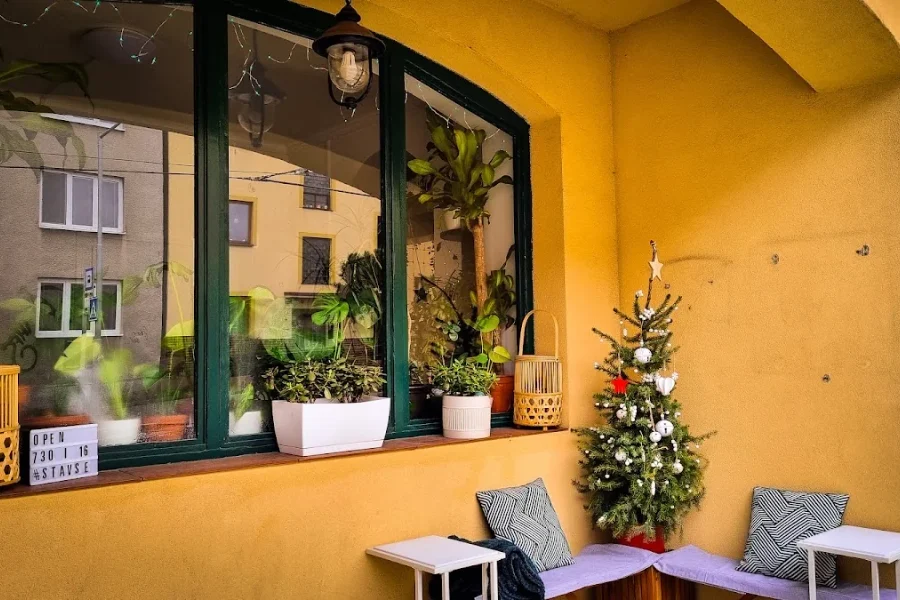 STAV SE Espresso Bar — roastery